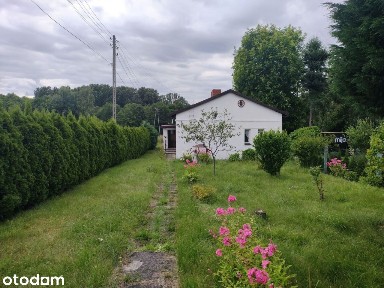 Dom w bardziej cichej okolicy, blisko Ogród Botani