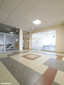 Lokal na wynajem, Wrocław