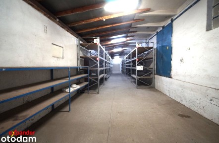 Hala magazynowa na wynajem, centrum, duża brama wjazdowa, regały