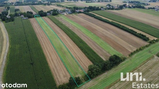 Gospodarstwo rolne| 1,12ha | Spokojna okolica