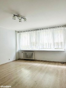 Kawalerka | ul. Rynkowa | parter | piwnica | zieleń za oknem |