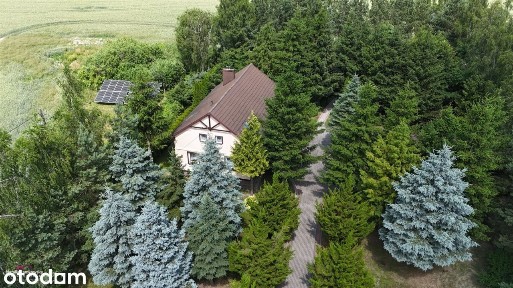 Dom, 115 m², Czarne Górne