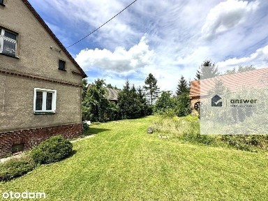 Buszkowice, Ścinawa, lubiński, dolnośląskie