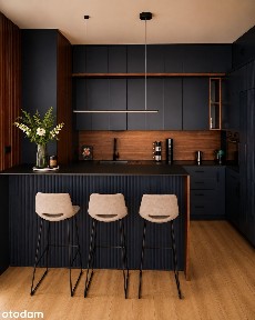 Stylowe mieszkanie 53 m² po generalnym remoncie z wysokimi sufitami.