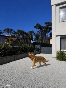 Parterowy piękny Apartament 39 m + 130 m ogródek w Willa Morska 12 Gotowa inwestycja 250 m od morza. Faktura