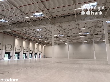 Magazyn w Szczecinie niedaleko A6/ 7500 m2