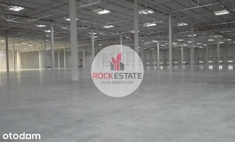 Magazyn 5600 m2 Sosnowiec/Stryków - 0% prowizji