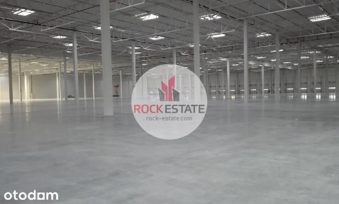 Magazyn 5600 m2 Sosnowiec/Stryków - 0% prowizji