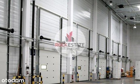 Magazyn 4000 m2 do wynajęcia - 0% prow.
