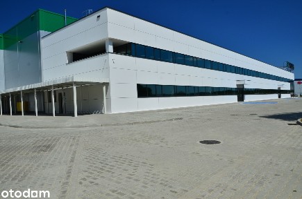 Magazyn od 1 350 m² |Poznań / S11 /A2 | 9,4 m | BREEAM | Klasa A