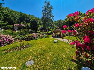 Jagniątków, Jelenia Góra, dolnośląskie
