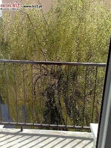 U R i U E K -okolice /2-pok.+kuch., balkon