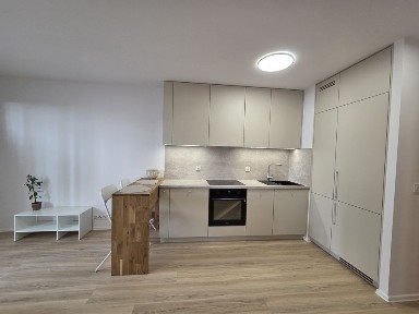 Mieszkanie z ogródkiem w centrum na wynajem