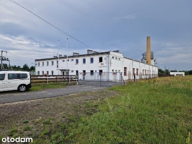 Dzierżonia 3, Kolonowskie, strzelecki, opolskie