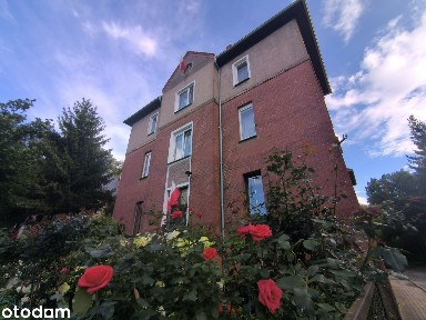 Okazja do remontu 54m I piętro Balkon Park 2 pokoje idealny układ