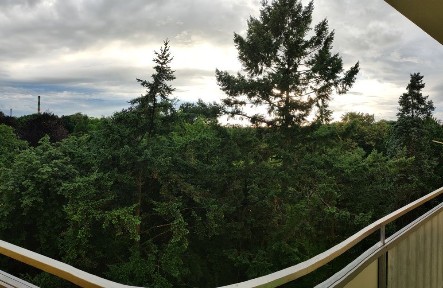 Warmińsko-mazurskie, Elbląg