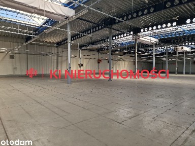 Hala z pow. biurem I poziom 0 I rampa - dok I duży plac - prowizja 0%