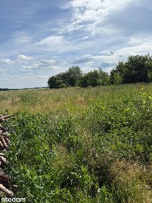 Rogów Górowski, Góra, górowski, dolnośląskie