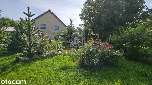 Dom z dużą działką 7km od Żagania !