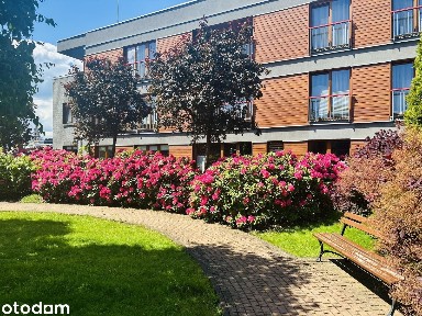 Mieszkanie, 49 m², Bielsko-Biała