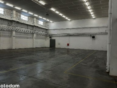 Hala magazynowo-produkcyjna 723 m² do wynajęcia - Łódź, Teofilów