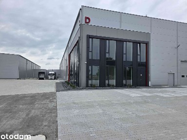 ZANIEMYSKA, Środa Wielkopolska, średzki, wielkopolskie