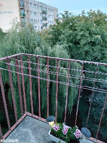 Mieszkanie z balkonem i piwnicą w Olsztynie