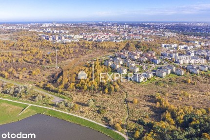 Dobrze skomunikowane | Widok | Tramwaj