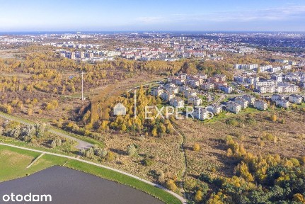 Dobrze skomunikowane | Widok | Tramwaj
