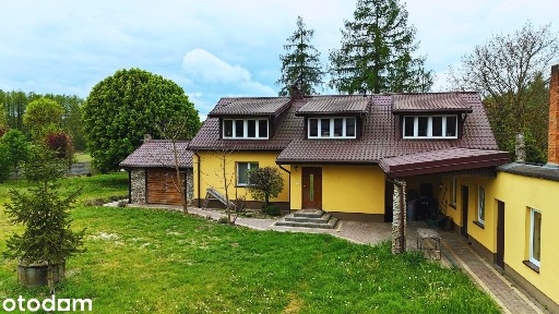 Siedlisko z własnym lasem- działka 1,44 ha | blisko rzeka Pilica