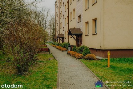 Kawalerka w Trzebini do wynajęcia, bez odstępnego