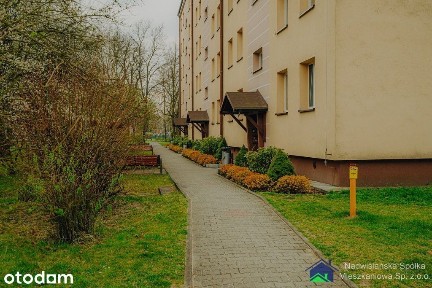 Kawalerka w Trzebini do wynajęcia, bez odstępnego