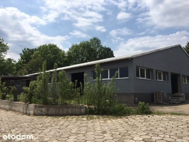 Górniak, Górna, Łódź, łódzkie