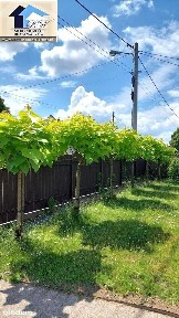 Rodzinny dom otoczony zielenią