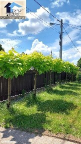 Rodzinny dom otoczony zielenią
