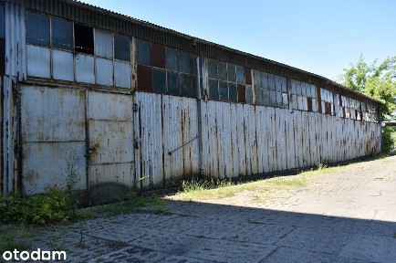 Hala magazynowa pow. 1205,00 m2, ul. Dworcowej 14 w Grudziądzu!