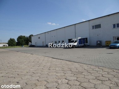Siernieczek, Bydgoszcz, kujawsko-pomorskie