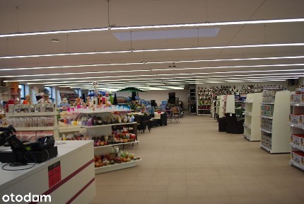 Lokal użytkowy, 500 m², Nowa Wieś