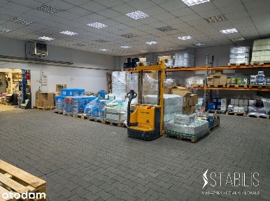 Magazyn z powierzchnią handlową / Elewatorska