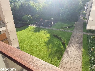 Wynajmę bezpośrednio 85 m