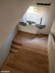 Wynajem DLA Firmy / Radom Glinice