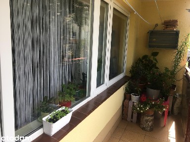 Przytulne mieszkanie nad Sanem