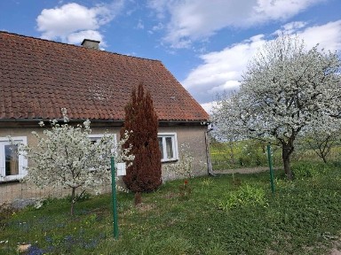 Klimatyczny Dom na Warmii - Paluzy ok. Bisztynka z budynkami gospodarczymi i działką
