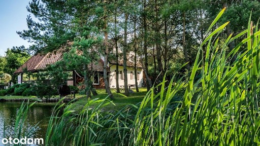 Poszukujemy partnera do prowadzenia ośrodka terapeutycznego
