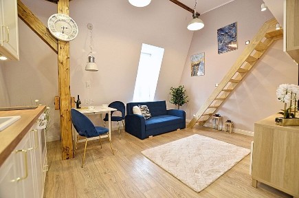 Apartament typu Studio, premium, ul. Linki, Kortowo, Centrum, Stare Miasto, od 1.09.