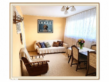 Jasne mieszkanie 2-pokojowe w centrum | 35,5 m² | 1. piętr !