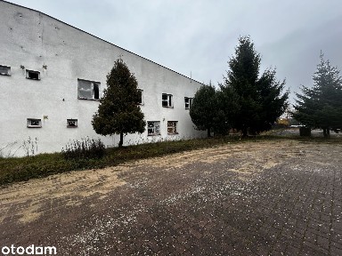 Syndyk sprzeda działkę utwardzoną, zabudowaną budynkami.