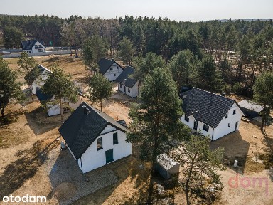 Niwy, Daleszyce, kielecki, świętokrzyskie