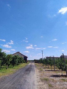 Sprzedam gospodarstwo 6.5ha rolno-sadownicze wraz z dużym domem oraz budynkami gospodarczym
