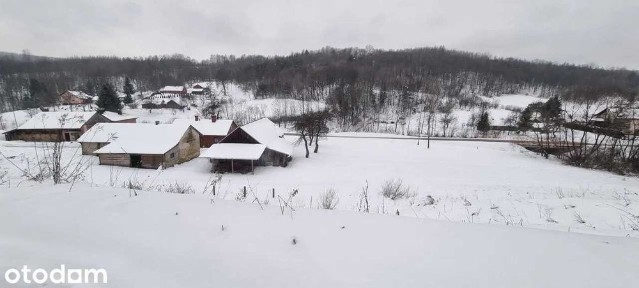 Dom wolnostojący z dużą działką- Drohobyczka